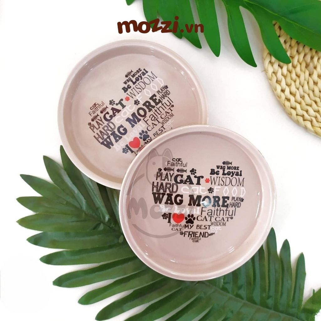 Elite chén sứ CAT WISDOM