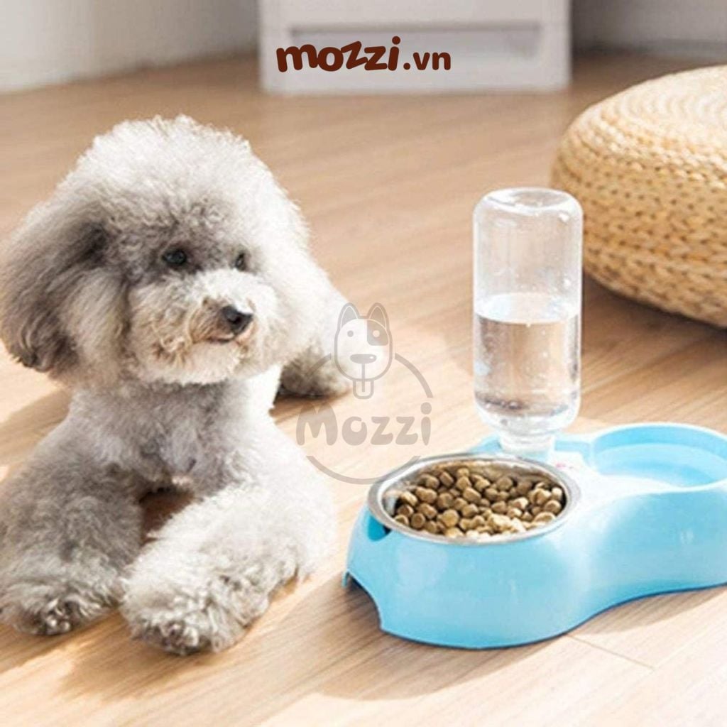 Khay thức ăn kèm nước inox tháo rời cho chó mèo