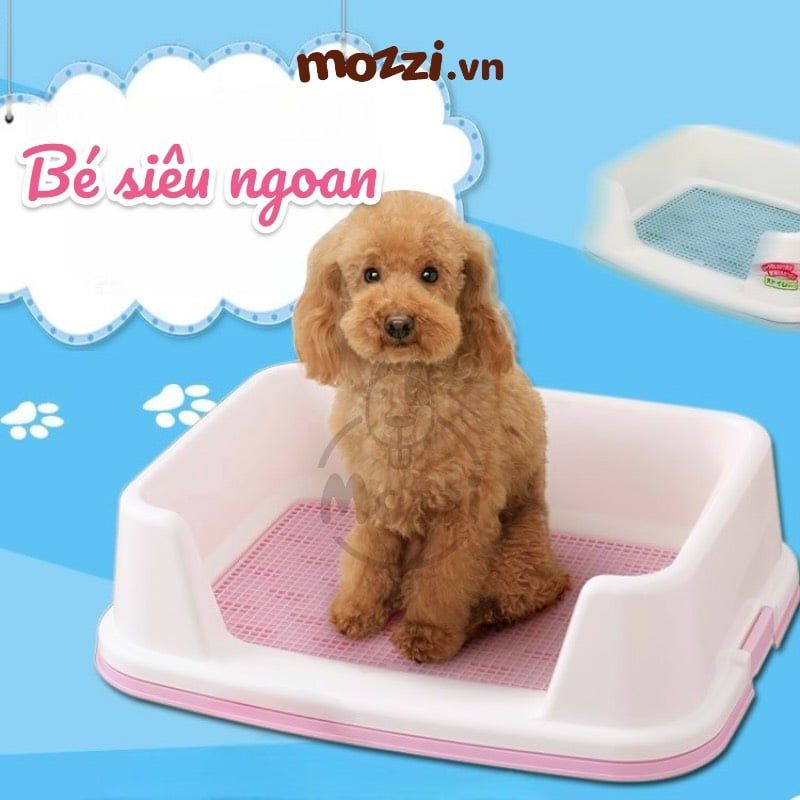 Iris Khay vệ sinh có thành ngăn cao cho chó