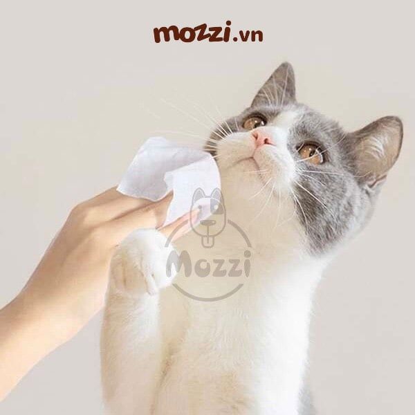Khăn ướt cho chó mèo Kháng khuẩn trắng Absorb Antibacterial Absolute
