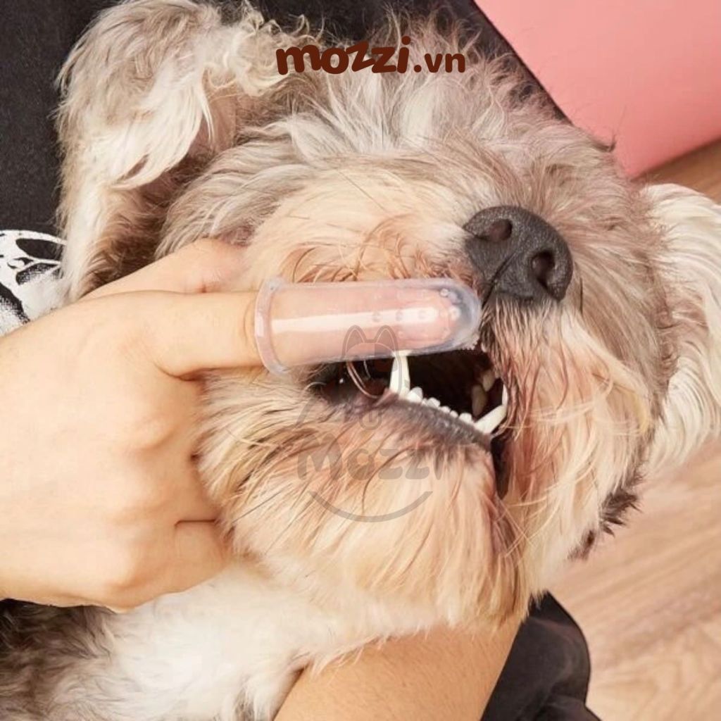 Beaphar Bàn chải đánh răng đeo ngón tay