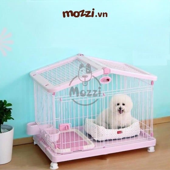 Iris Chuồng ngôi nhà cho chó mèo