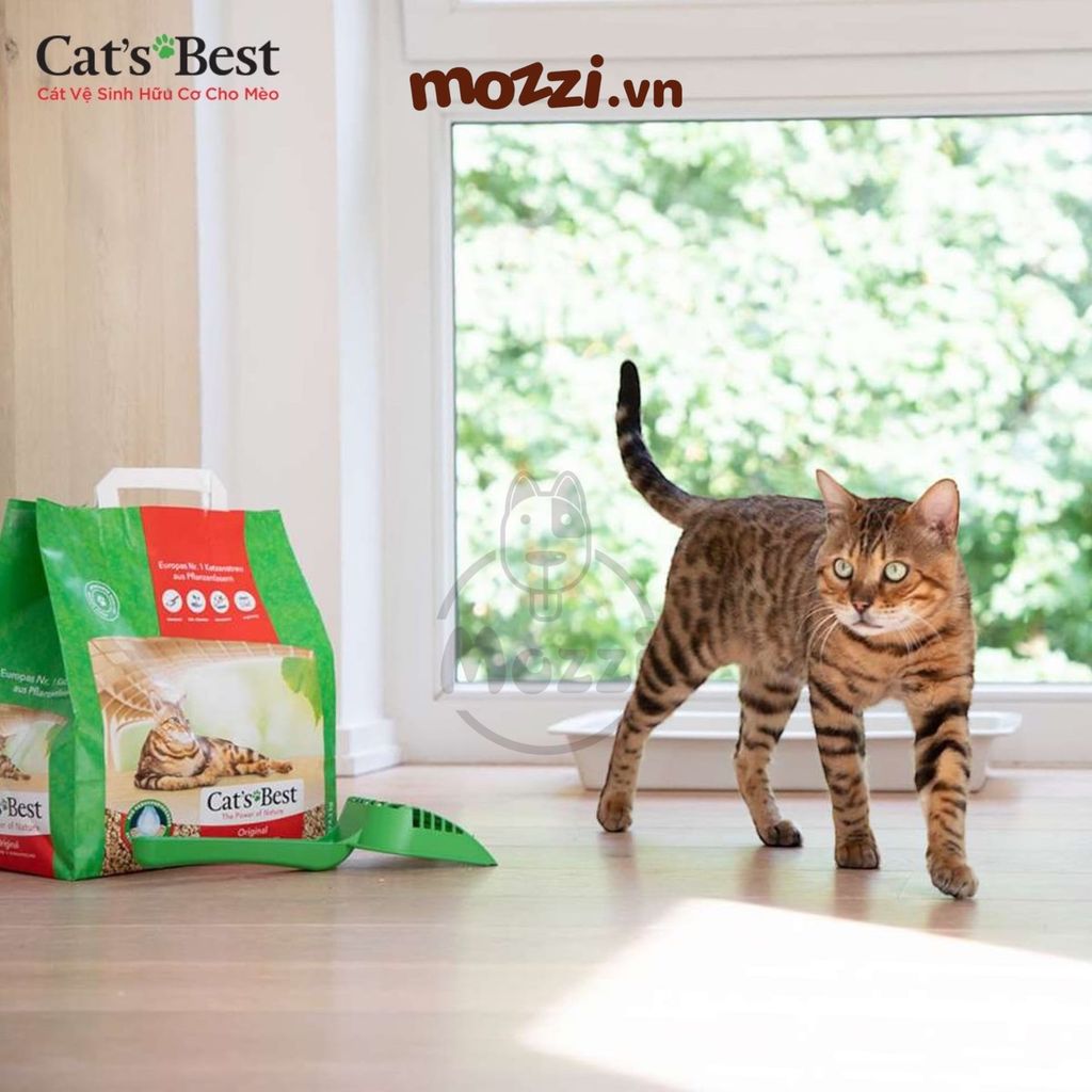 Cát gỗ cho mèo Cat's Best Original siêu thấm hút