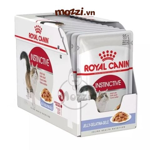  Pate cho mèo lớn Instinctive Royal Canin 