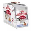Pate cho mèo lớn Instinctive Royal Canin