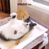 Đồ chơi Gối ôm CattyMan hình mèo