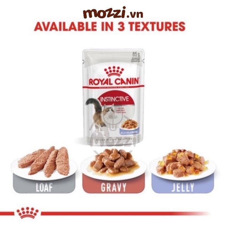 Pate cho mèo lớn Instinctive Royal Canin