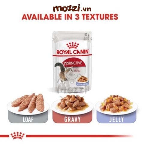  Pate cho mèo lớn Instinctive Royal Canin 