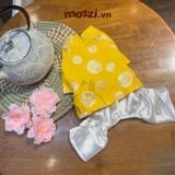  Áo dài Tết truyền thống cho chó mèo 