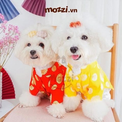  Áo dài Tết truyền thống cho chó mèo 
