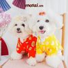 Áo dài Tết truyền thống cho chó mèo