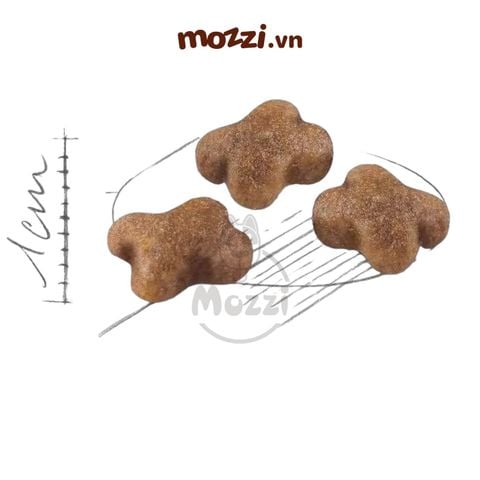 Thức ăn hạt Royal Canin Kitten cho mèo con 4-12 tháng tuổi [400g - 2kg - 4kg - 10kg - 13kg]
