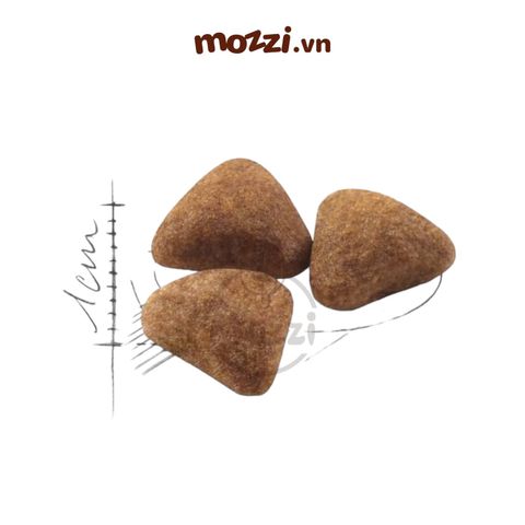  Thức ăn hạt Royal Canin Indoor cho mèo trong nhà [400g - 2kg - 4kg - 10kg] 