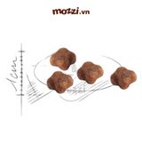  Thức ăn hạt Royal Canin Mother & Babycat cho mèo mẹ và mèo con dưới 4 tháng tuổi [400gr - 2kg - 4kg - 10kg] 
