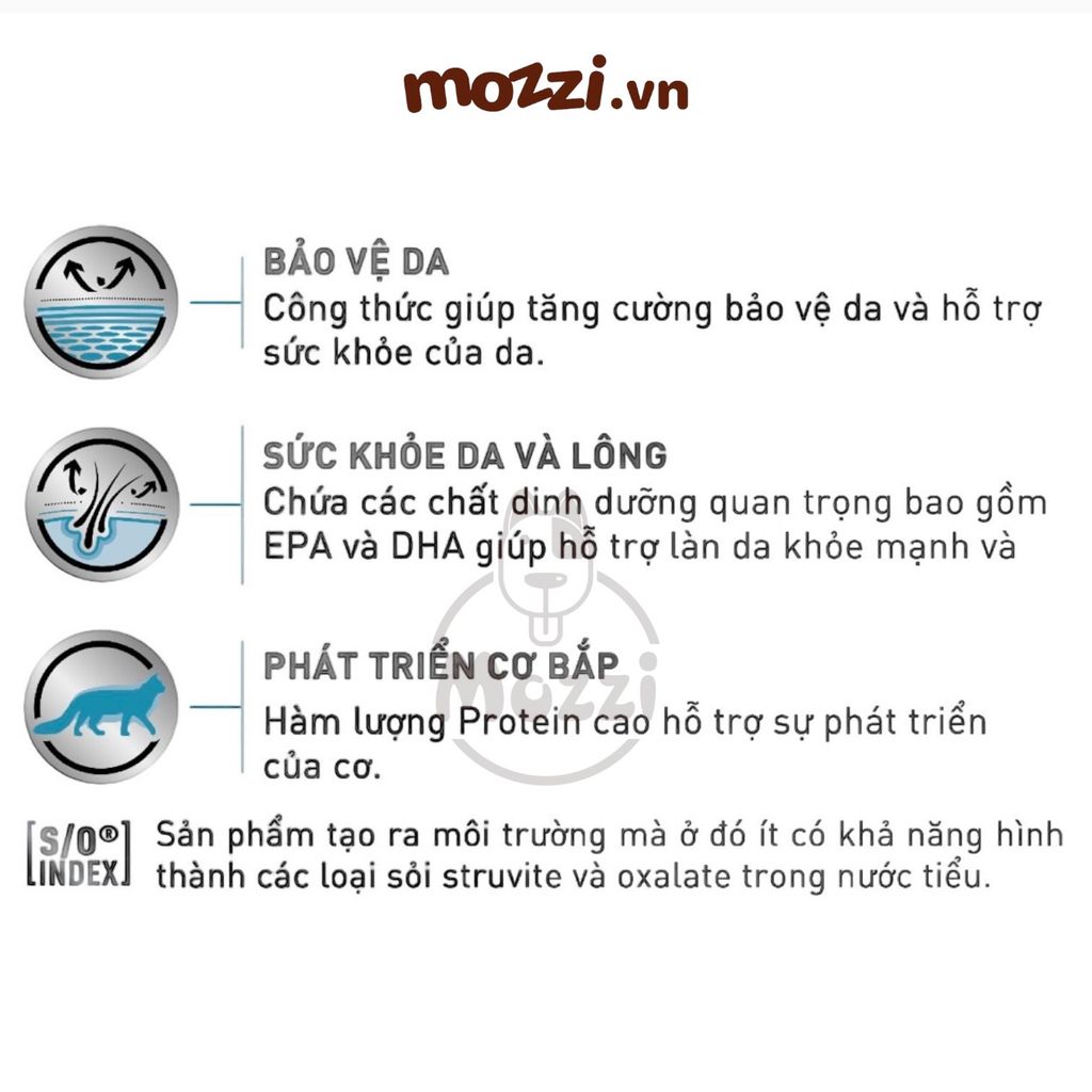 Thức ăn hạt Royal Canin Skin&Coat Hỗ trợ viêm da rụng lông cho mèo Skin Coat [1.5kg]