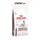  Royal Canin Hepatic Hỗ trợ chức năng gan cho chó 1.5kg 