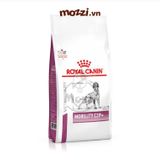  Thức ăn hạt Royal Canin Mobility Hỗ trợ xương khớp & Vận động cho chó [2kg] 