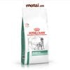 Thức ăn hạt Pate Royal Canin Diabetic cho chó bị tiểu đường [1.5kg]