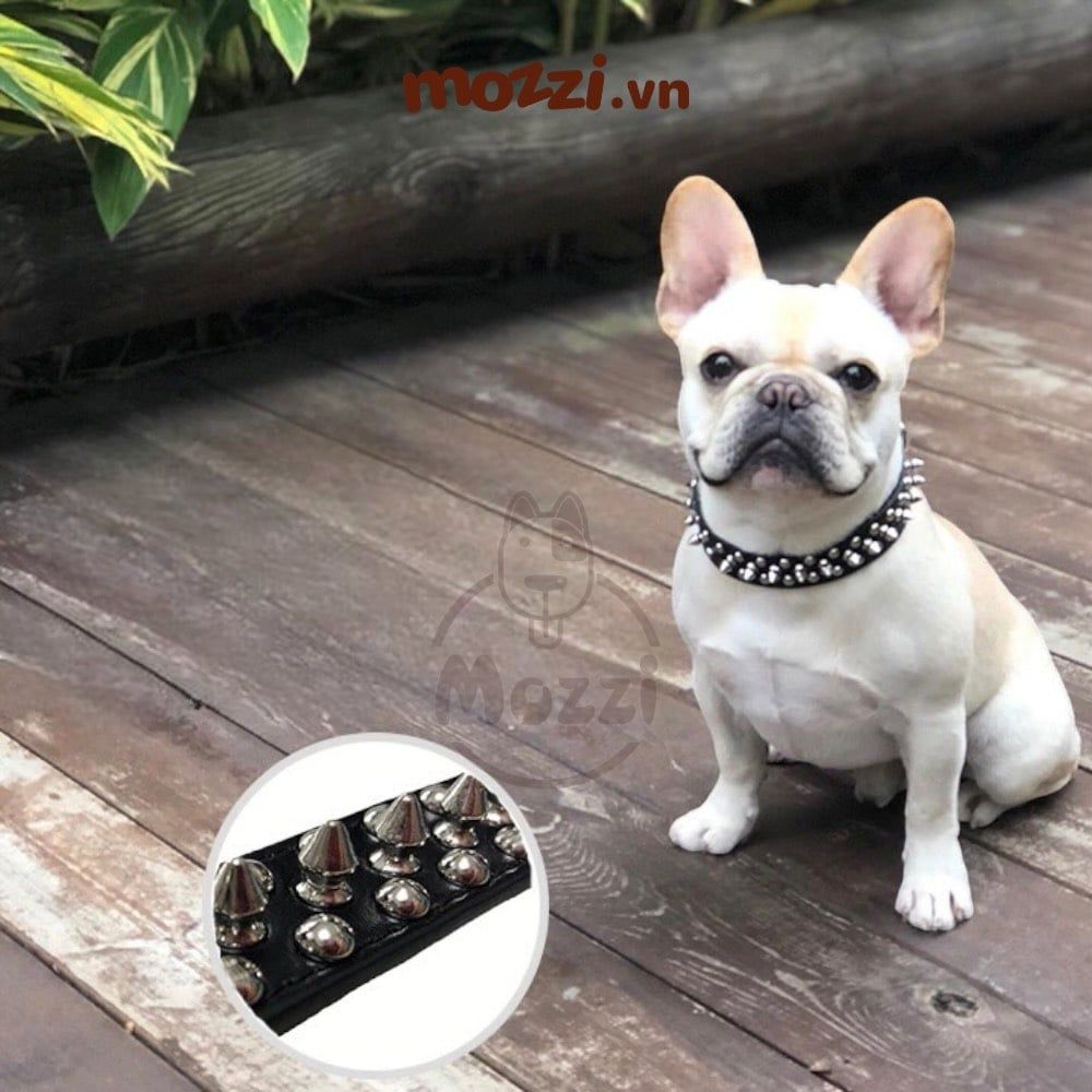 Vòng cổ đóng đinh tán bạc siêu ngầu cho chó