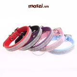  Vòng cổ đính đá cho chó mèo 