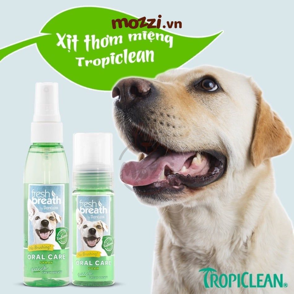 Xịt vệ sinh răng miệng Tropiclean Fresh Breath Spray Chai 118ml cho chó