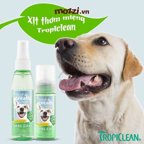  Xịt vệ sinh răng miệng Tropiclean Fresh Breath Spray Chai 118ml cho chó 