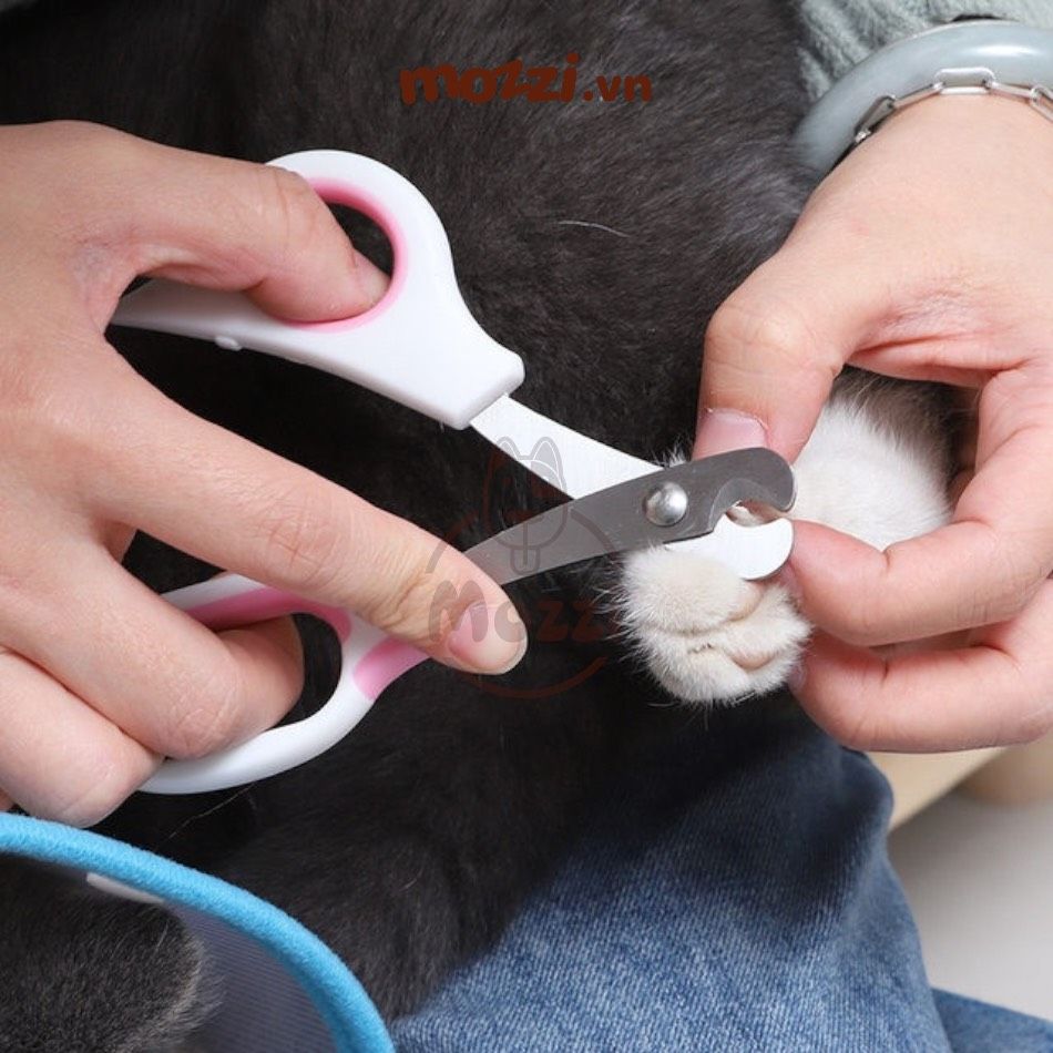 Kéo kềm cắt móng Taotaopets kèm dũa cho chó mèo