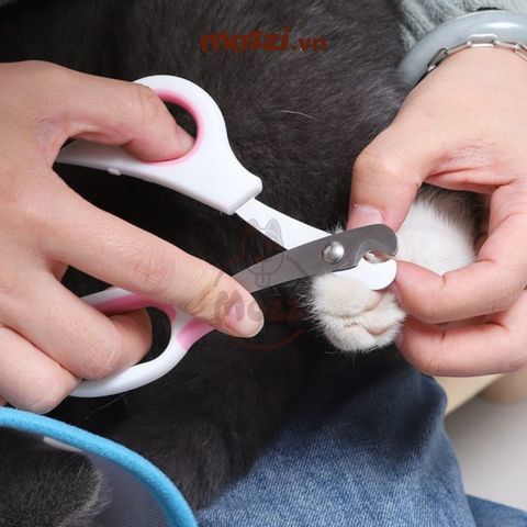  Kéo kềm cắt móng Taotaopets kèm dũa cho chó mèo 