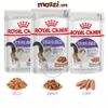 Pate cho mèo Triệt sản Sterilised Royal Canin