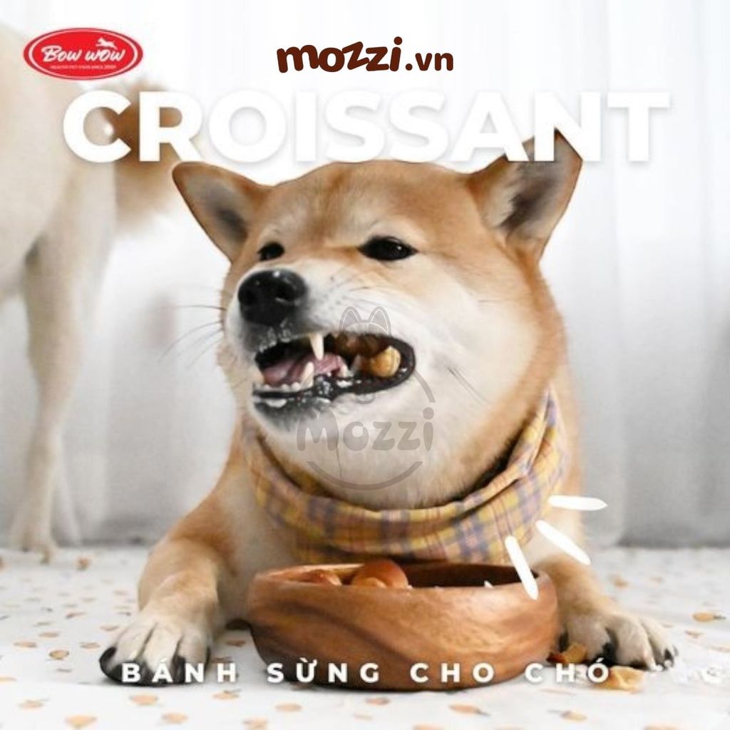 Snack cho chó Bánh sừng Bowwow 100gr