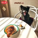  Snack cho chó Bánh sừng Bowwow 100gr 