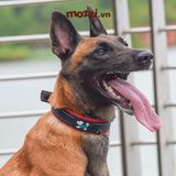  Vòng cổ DOG có đệm lót mềm 
