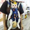 Địu Thái Lan họa tiết nhiều màu cho chó mèo [Giao màu ngẫu nhiên]
