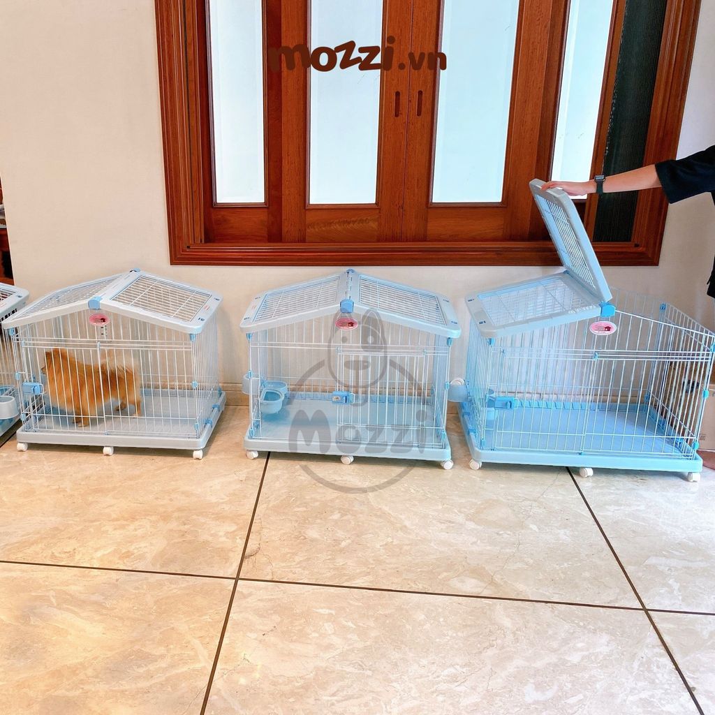 Iris Chuồng ngôi nhà cho chó mèo