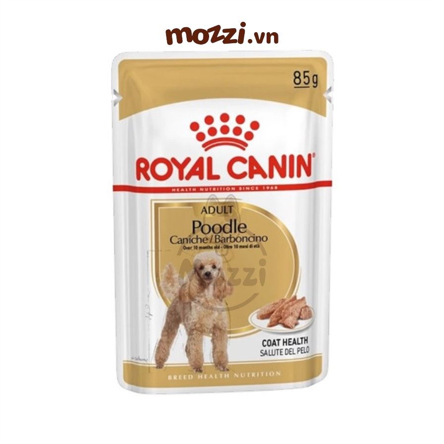 Pate cho chó Royal Canin Poodle Adult lông xoăn