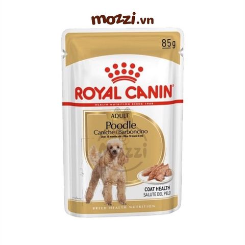  Pate cho chó Royal Canin Poodle Adult lông xoăn 
