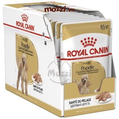  Pate cho chó Royal Canin Poodle Adult lông xoăn 