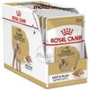 Pate cho chó Royal Canin Poodle Adult lông xoăn