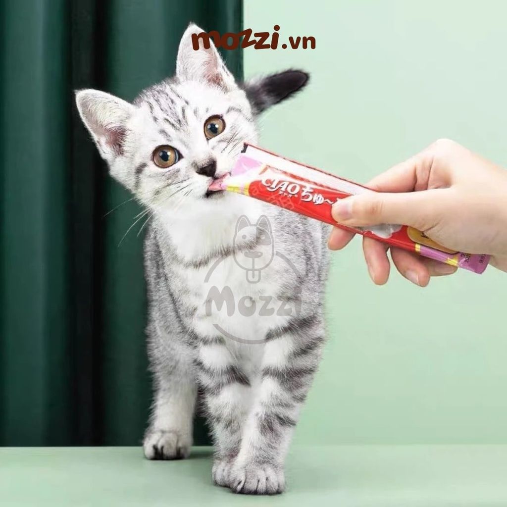 Súp thưởng cho mèo Ciao Gói 20 thanh đủ vị