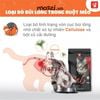 [1.5kg] Thức ăn hạt Cat's Eye cho mèo