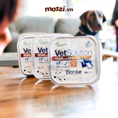  Pate cho chó Monge Vetsolution Renal and Oxalate hỗ trợ chức năng thận Hộp 150gr 
