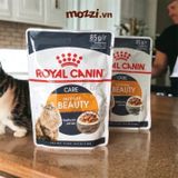  Pate cho mèo Đẹp da lông Hair&Skin Royal Canin 