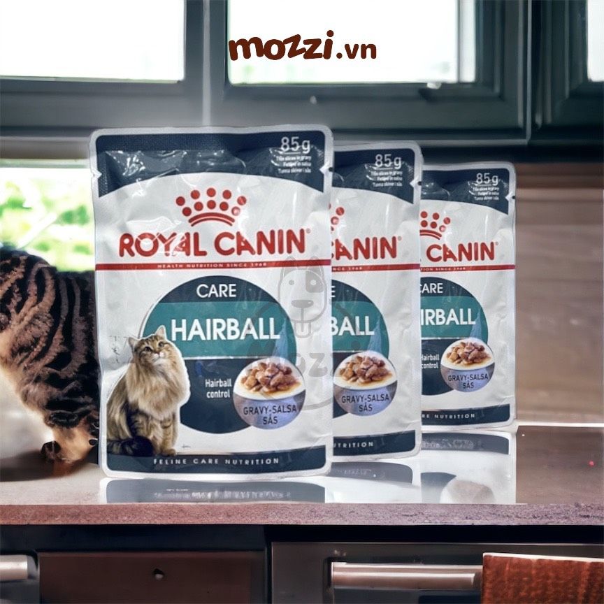 Pate cho mèo Đẹp da lông Hairball Hair&Skin Skin Coat Royal Canin
