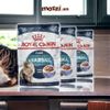 Pate cho mèo Đẹp da lông Hairball Hair&Skin Skin Coat Royal Canin