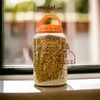 Thức ăn hạt Catsrang cho mèo mọi lứa tuổi [400g - 2kg - 5kg]