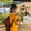 Mũ nón Bảo hiểm nhiều màu cho chó mèo