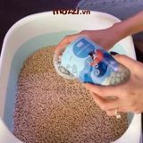  Cature Fresh Scent Beads Viên khử mùi cát vệ sinh cho mèo 