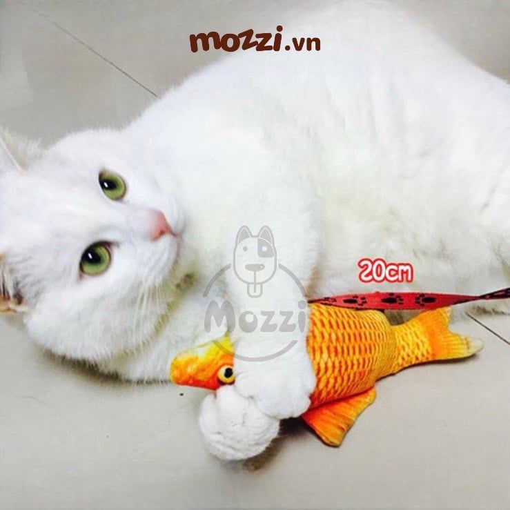 Đồ chơi Cá bông cho chó mèo