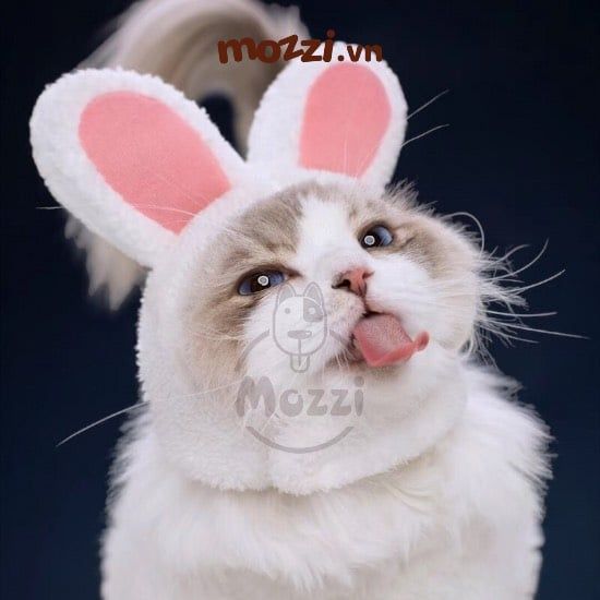 Nón Tai thỏ dễ thương cho chó mèo 2-5kg