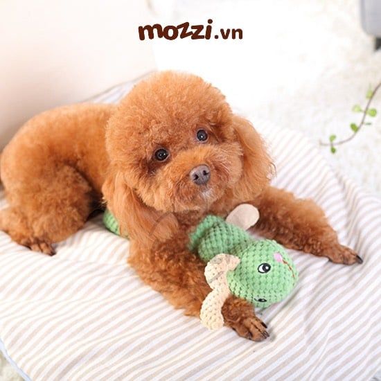 Gối ôm âm thanh hình con sâu 35cm cho chó mèo